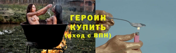 индика Анива
